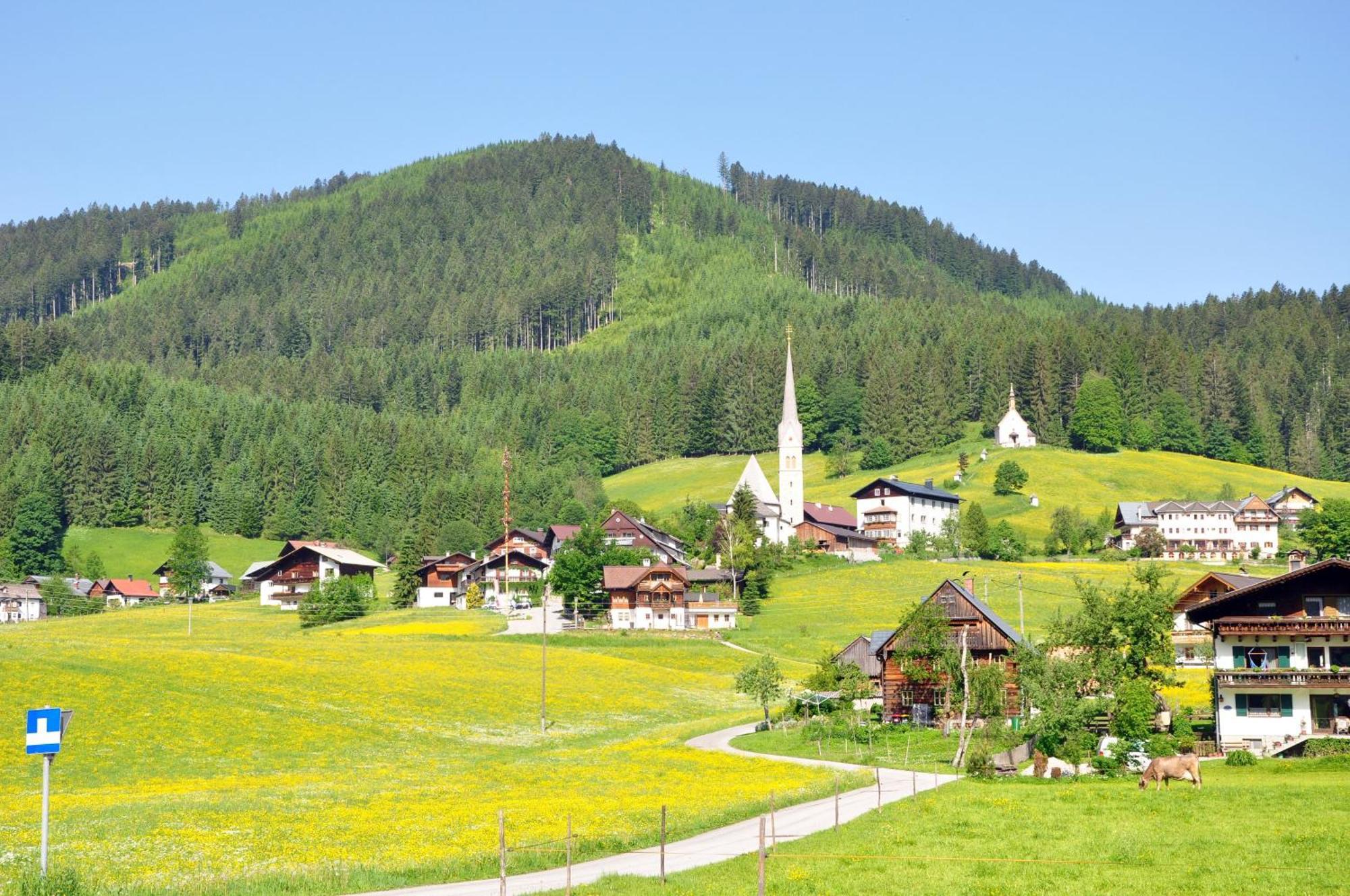 Sunseitn Apartments Gosau Εξωτερικό φωτογραφία