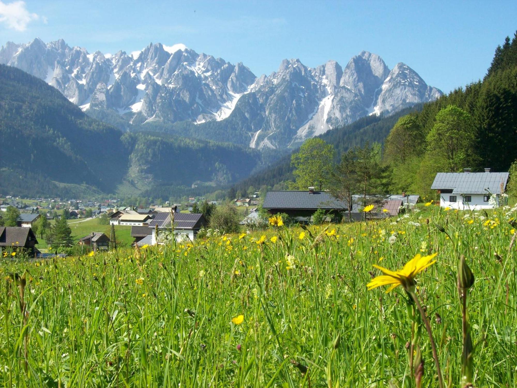 Sunseitn Apartments Gosau Εξωτερικό φωτογραφία
